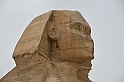 12 MAK_6724